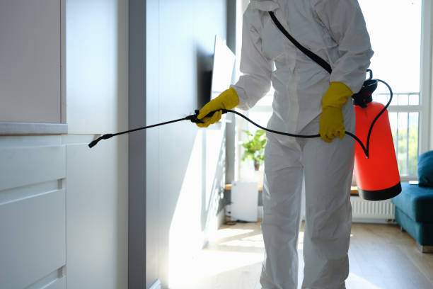Best Professional Mold Removal  in Mcadoo, PA