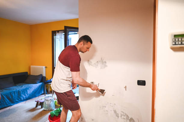 Professional Mold Removal in Mcadoo, PA